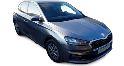 SKODA Fabia 1.0 TSI Selection DSG